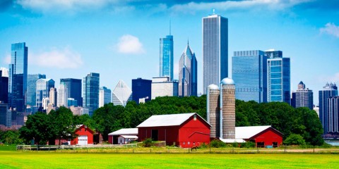 ¿Campo o Ciudad?
