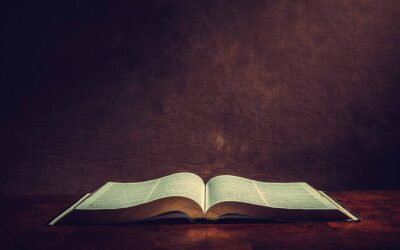 FUNDAMENTADOS EN LA BIBLIA, INTEGRADOS EN LA MISIÓN