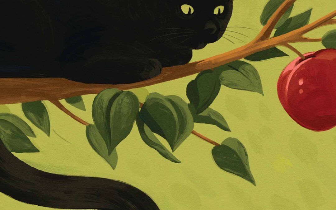 LA SUPERSTICIÓN NO ES LA SOLUCIÓN