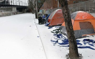 RESCATADA DEL LODAZAL