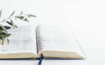 EL SEXO EN LA BIBLIA
