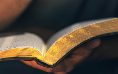 ARRAIGADOS EN LA BIBLIA